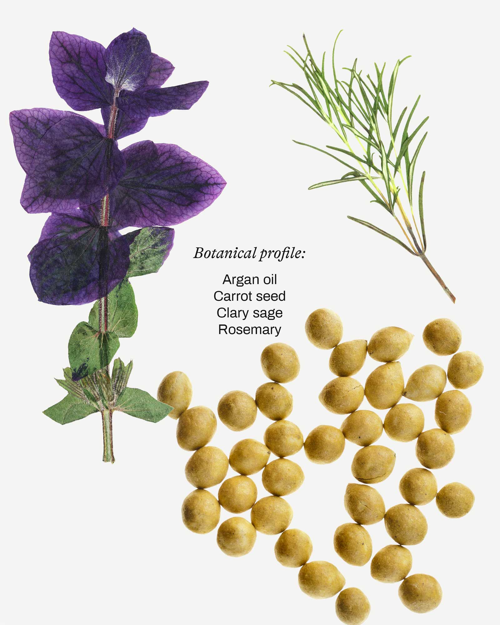 Nourishing Face Oil