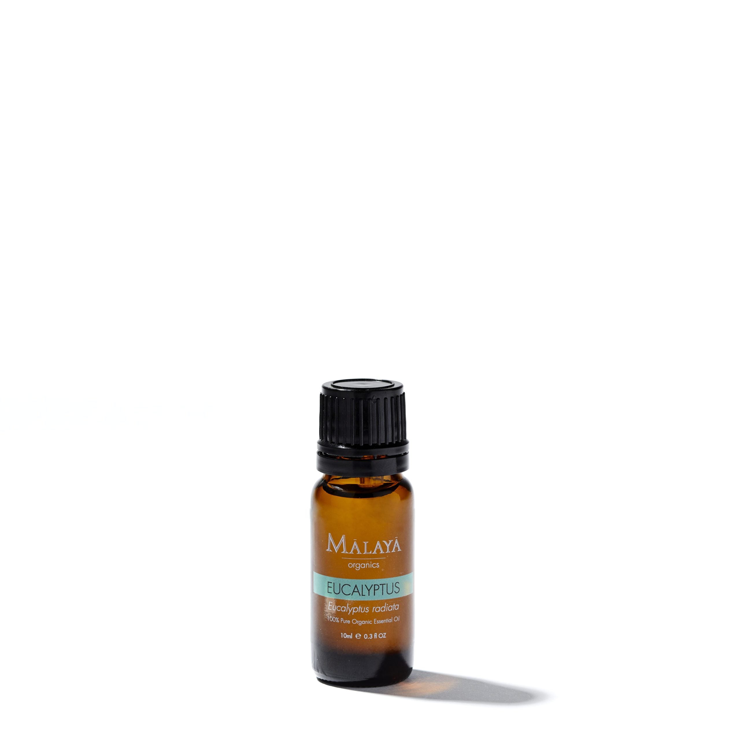 Eucalyptus Essential Oil - 100% Organic Therapeudic Grade