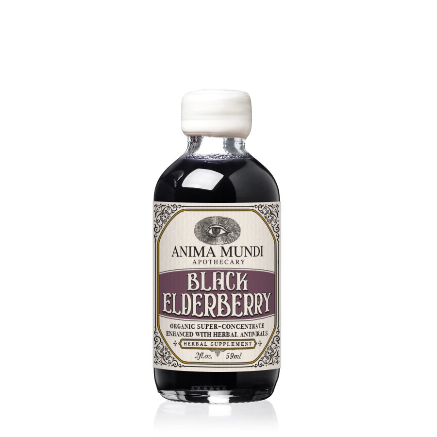 Black Elderberry Syrup | Organic Antivirals